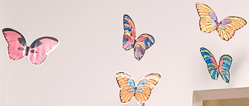 Butterfly Project Spring Butterflies Art Project